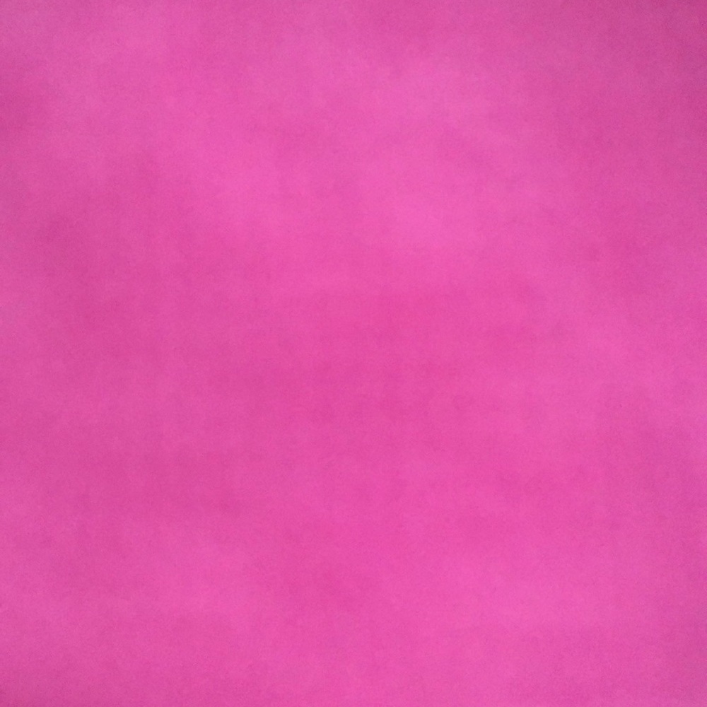 Meet your Posher, Lizzy